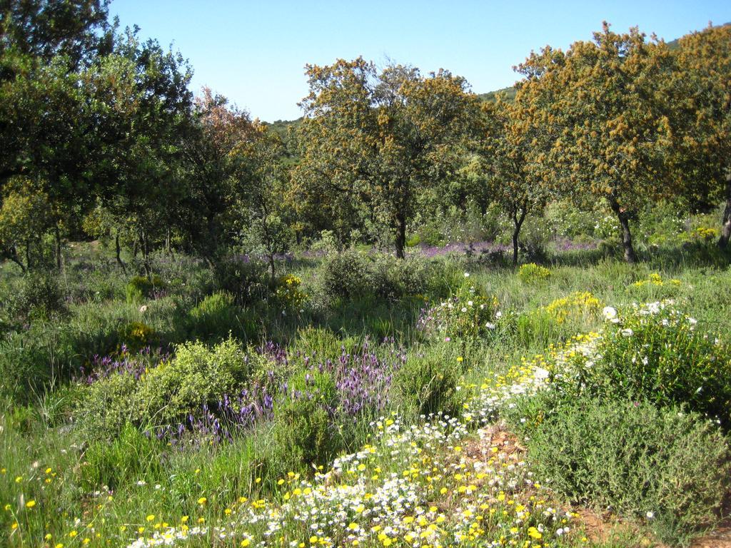 Los Laureles 2 Urda Екстериор снимка