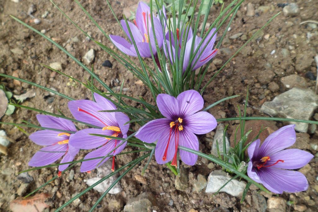 Los Laureles 2 Urda Екстериор снимка